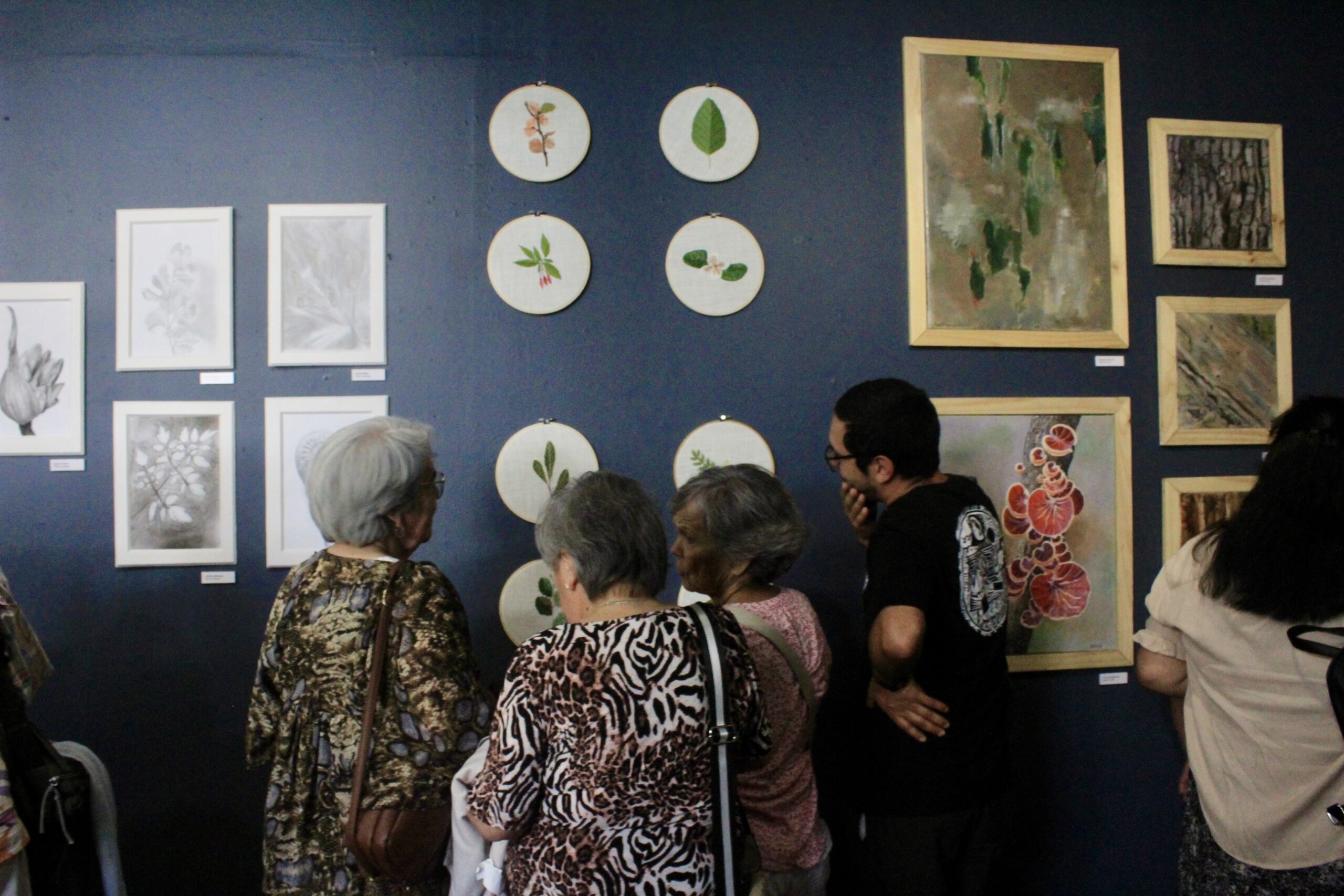 Corporación Amigos de Panguipulli invita a la exposición “Habitantes de lo mínimo”