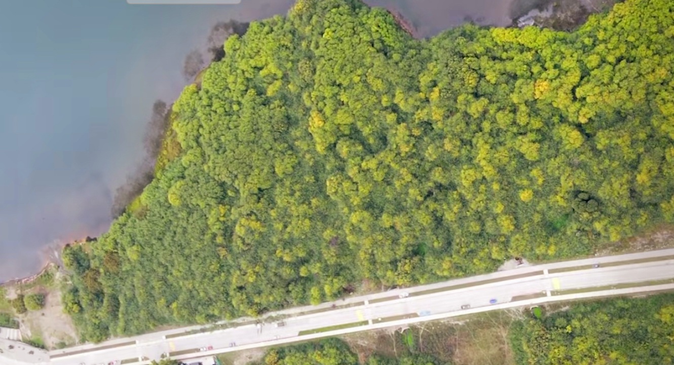 Corte de Apelaciones de Valdivia prohíbe intervenir el Humedal Bahía Panguipulli